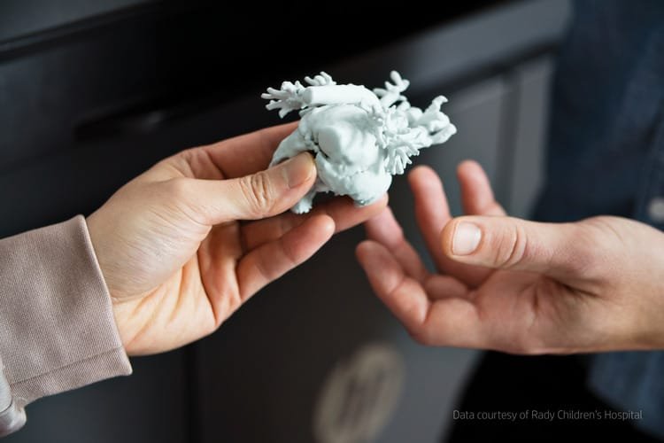 PA 12 White 3D Printed Heart_HP Credit